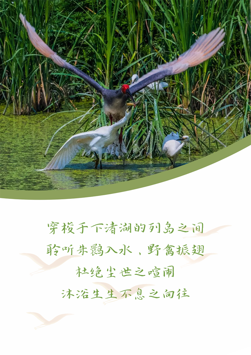 心心念廿 相伴豪门国际 | 与德清相约 贺廿载诞辰